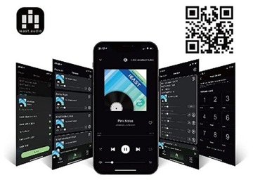 iEAST OlioStream — сетевой Hi-Fi плеер, черный