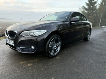 BMW Seria 2 F22-F23-F45-F46 Coupe 220i (Euro 6) 184KM 2016 BMW 220 2.0i 184KM 68tys.km. Navi Bezwypadkowy, zdjęcie 29