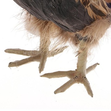 2 . Реалистичная Реалистичная статуя курицы