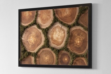 Картина со мхом Разрез ствола 60х40.