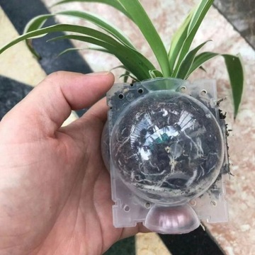 ШАРИКИ ДЛЯ УКОРЕНЕВАНИЯ РОЗ И РАЗМНОЖЕНИЯ СЕМЯНАМИ ШАРИКОВЫЕ ВОЗДУШНЫЕ ШЕЙКИ 5 шт.