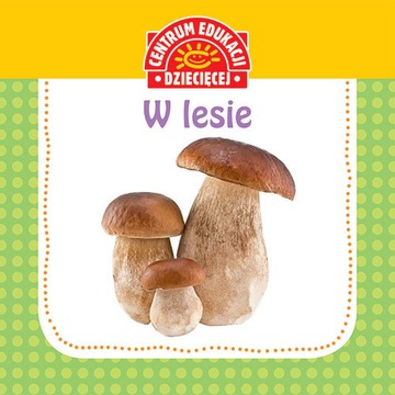 W LESIE KSIĄŻKA SZTYWNOSTRONICOWA