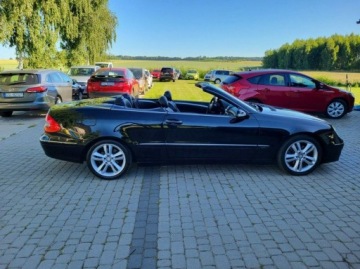 Mercedes CLK W209 Cabrio A209 1.8 (200 Kompressor) 183KM 2009 Mercedes CLK 200 KOMPRESOR Avantgarde, zdjęcie 31