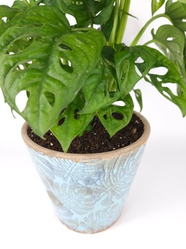 Субстрат для комнатных растений GREEN PALM PLANTS BIGOS 5L