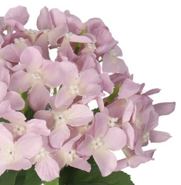 ИСКУССТВЕННЫЕ ЦВЕТЫ РАСТЕНИЯ БУКЕТ КАК ЖИВОЙ ГИДРЕНЗИИ