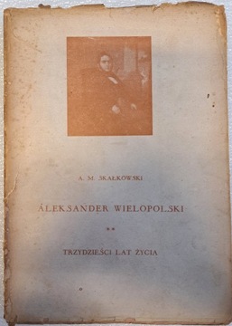 Aleksander wielopolski Skałkowski TOM 2