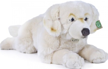 PIES GOLDEN RETRIEVER MASKOTKA REALISTYCZNA 62cm