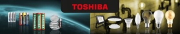 Зарядное устройство для аккумуляторов TOSHIBA USB типа АА ААА + 2 АККУМУЛЯТОРА АА 2000мАч