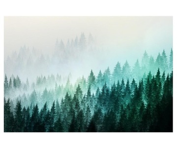 Fototapeta 368x254cm błękitny las we mgle retro