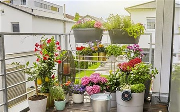 AquaBloom - автоматический набор Gardena 3в1