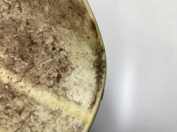 TAURIS FUEGO 50 ОБТЕКАТЕЛЬ, КРЫЛО, ПЕРЕДНИЙ БРЫЗГОВИК