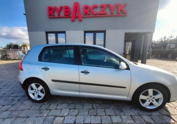 Volkswagen Golf V Hatchback 1.4 i 16V 75KM 2005 Volkswagen Golf 1.4 benz. Import z Niemiec, zdjęcie 6