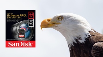 Карта памяти SANDISK Extreme PRO SDXC 64 ГБ