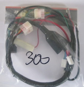 Wiązka elektryczna do Diabolini Highper 300 CC