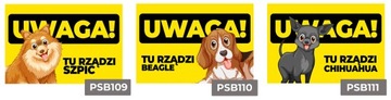 Tabliczka 22x15cm UWAGA SZNAUCER Wzory Uwaga PIES