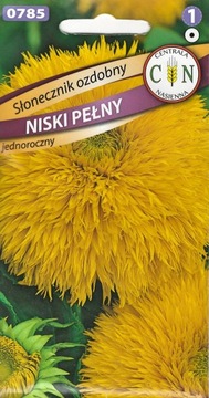 SŁONECZNIK OZDOBNY NISKI PEŁNY ŻÓŁTY przepiękny!!!