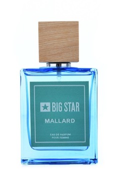 Женская парфюмерная вода Big Star For Her