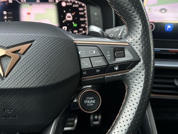 Cupra Formentor Crossover 2.0 TSI 310KM 2022 Cupra Formentor 2.0TSI 310KM 4Drive VZ DSG l Beats, zdjęcie 18