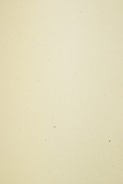 Papier ekologiczny Flora 350g Tabacco beżowy 10A4