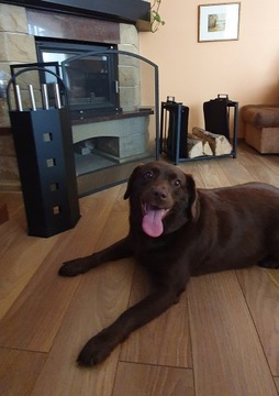 Каминный экран для защитной крышки камина XXL, защита решетки