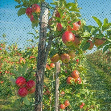 Siatka Ochronna na Ptaki Gołębie Przeciw Ptakom na Drzewa Borówki do Ogrodu