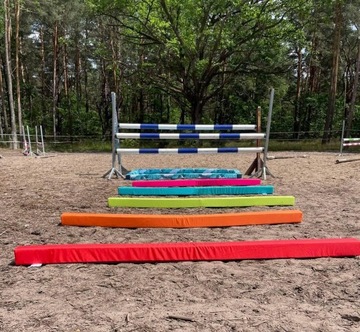 HorseMania - пенопластовые палки, комплект - 3 шт. 3,3мx10см ПЕРСОНАЛИЗАЦИЯ