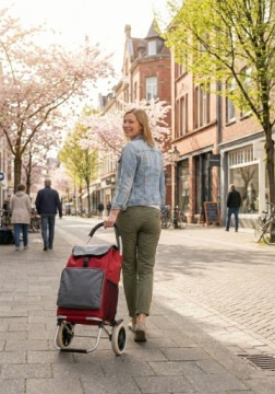 Складная тележка для покупок, водонепроницаемая сумка для покупок, бесшумные, большие колеса.
