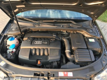 Audi A3 8P Hatchback 3d 1.6 102KM 2006 Audi A3 1.6 MPI 102 KM, zdjęcie 8