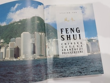 ФЭН-ШУЙ - Л.Тоо + 5 ароматических соевых свечей