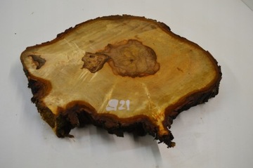 Большой выбор ломтиков каштана с капом 43х33гр4см