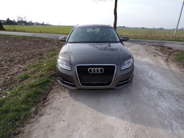 Audi A3 8P Hatchback 3d 1.6 TDI 105KM 2011 AUDI A3 16 TDI 105 KM AUTO Z NIEMIEC