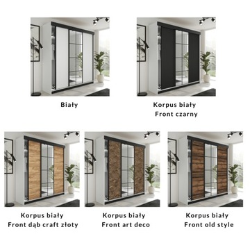 Шкаф-купе ФАРО с зеркалами - 250