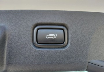 Kia Sportage V SUV Facelifting 1.6 T-GDI 150KM 2025 Kia Sportage 1.6 Benzyna 150KM, zdjęcie 24