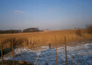 Treed Mate of Cane Mats 1,30x6m Cover Mat 130x600 Плотный коврик