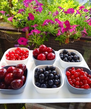 КУХОННЫЙ ПОДДОН УНИВЕРСАЛЬНЫЙ ПОДНОС ТАРЕЛКА ПОДСТАВКА ДЛЯ ЕДА БЕЛАЯ