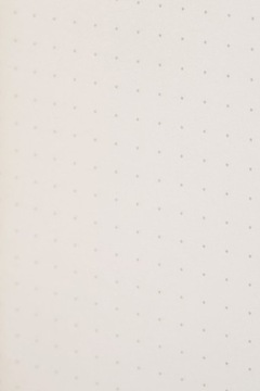 Notes Field Notes Pitch Black Memo Small - Kropki - 3 Pack