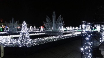 НАРУЖНЫЕ Рождественские гирлянды, COLD WHITE 500 LED