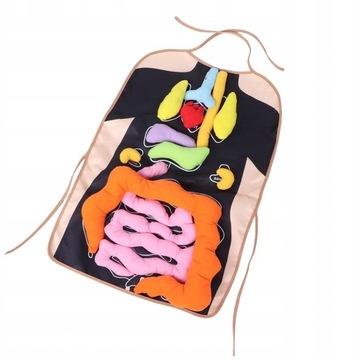 Оборудование для дошкольного образования для детей