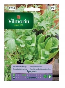 AROMATYCZNA MIESZANKA ZIÓŁ PIKANTNYCH 2 G VILMORIN