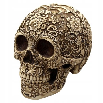 1:1 czaszka głowa anatomiczny model szkieletu