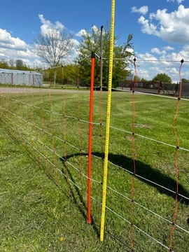 Siatka elektry dla owiec, 50m, 90 cm, poj. szpic