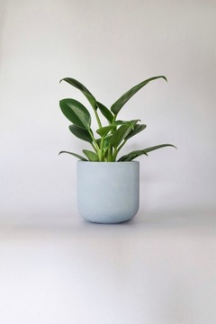 Покрытие для бетона Ø6см польского производства В ПОДАРОК, синее