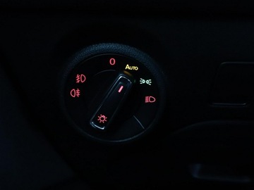 Seat Leon III X-Perience 2.0 TDI CR 184KM 2017 Seat Leon X-Perience 4Drive automat 184KM skóra, zdjęcie 34