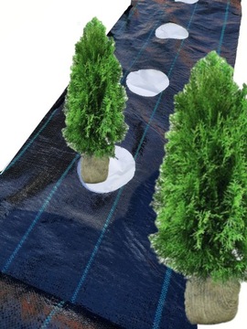 Agrotkanina duże OTWORY pod TUJE co 50cm 1,1x10m