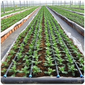 LINIA KROPLUJĄCA WĄŻ KROPLUJĄCY 16 33 100m BRADAS