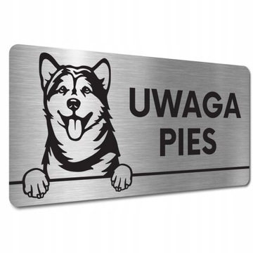 TABLICZKA UWAGA ZŁY PIES GROŹNY - Alaskan malamute TABLICZKA UWAGA ZŁY PIES