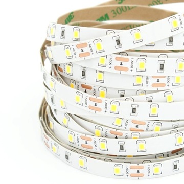 Taśma LED 12W/1mb JASNA 12V IP20 Zimna 6500K 5m