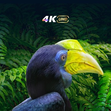 CHiQ 65-дюймовый 4K UHD Smart TV Android11 ​​БЕЗРАМОЧНЫЙ