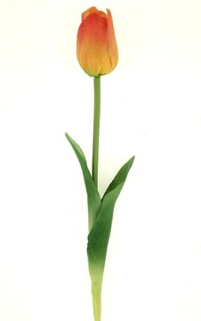 TULIPAN GUMOWY POMARAŃCZOWY 46 cm W DOTYKU jak ŻYWY PREMIUM
