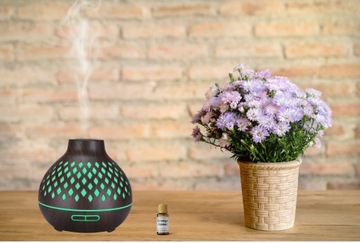 Ультразвуковой увлажнитель воздуха AROMA ORIENT с темным диффузором HIT